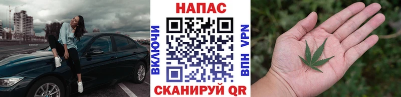 Конопля MAZAR  купить наркоту  Челябинск 